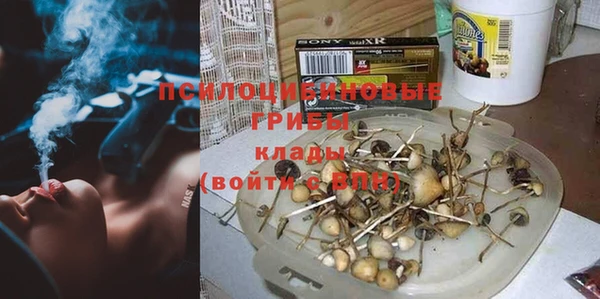 экстази Белокуриха