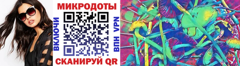 Галлюциногенные грибы Psilocybe blacksprut вход Ногинск