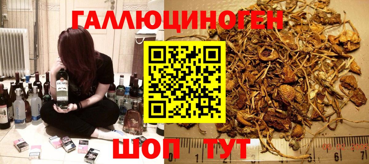 Псилоцибиновые грибы GOLDEN TEACHER Ногинск