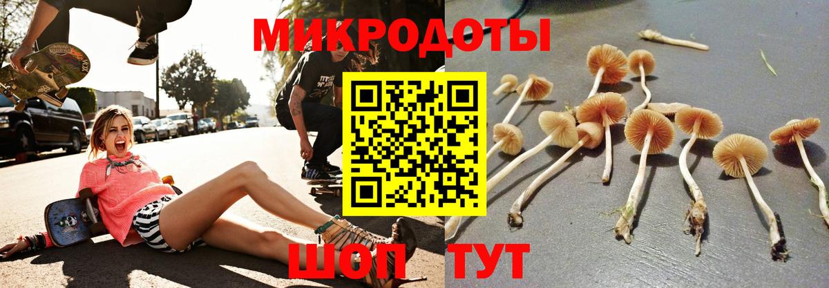 Ногинск  дарнет шоп  Вход с VPN  Галлюциногенные грибы GOLDEN TEACHER 