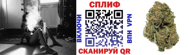 цены наркотик  Ногинск  Шишки марихуана тримм 